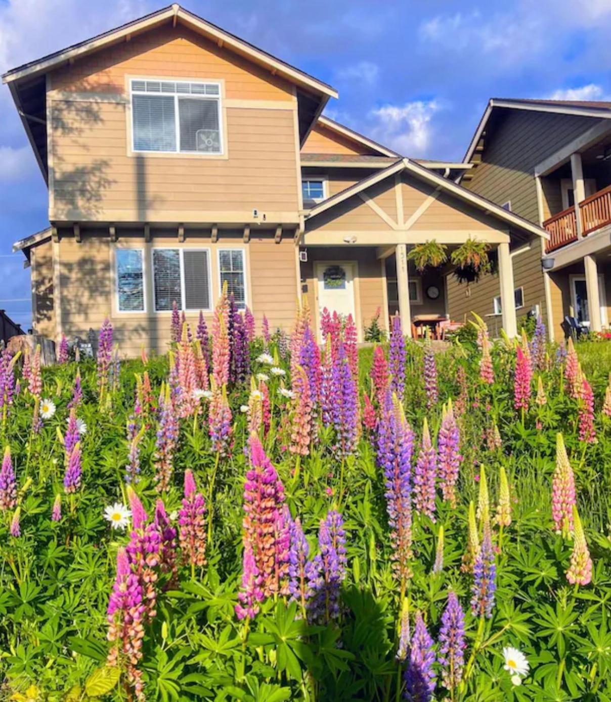 Central Tacoma Homestay With Breakfast Included -Private Room- מראה חיצוני תמונה